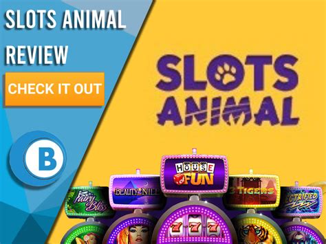 Slots animal casino Costa Rica